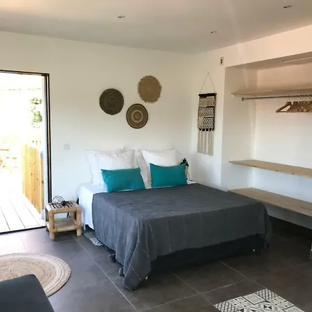Le Sud Apartment *
